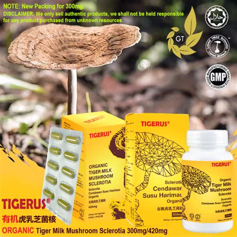 Official Sg Seller Tigerus Organic Tiger Milk Mushroom Sclerotia