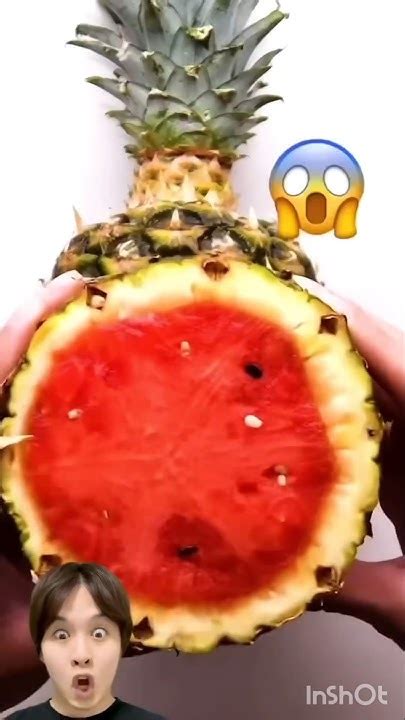 🍉watermelon And Pineapple🍍 Experimenttik Tok Hacks Telugu Viral