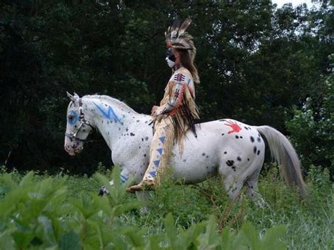 Épinglé Sur Native Chevaux Native Americaine Chevaux Indiens