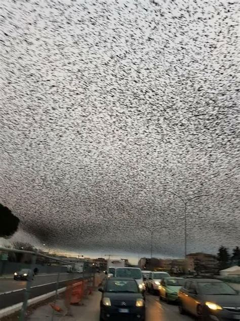 Vezes Em Que A Natureza Mostrou Que Ela Pode Ser Bastante Sinistra