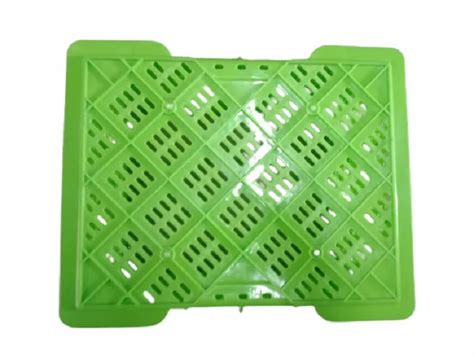 Green Vegetable Plastic Crate Outer Dimension Lxwxh X X