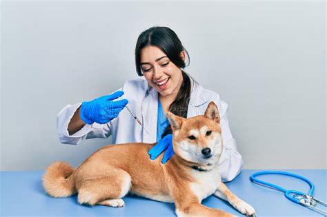 Beautiful Hispanic Veterinarian Woman Putting Vaccine To Puppy Dog