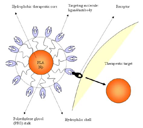 Polymeric Functionalized Nanoparticle Ligand Based Approach Download Scientific Diagram