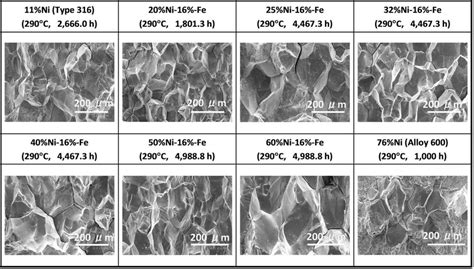 SEM Images Of Fracture Surfaces Of Ni 16 Cr Fe Alloys In PWR Water At