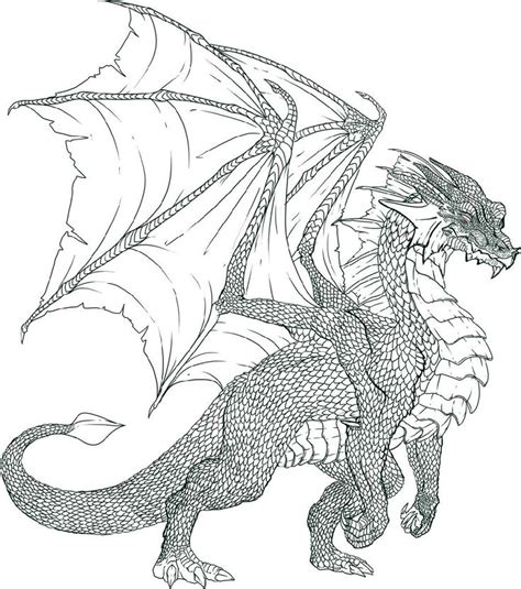 Free Realistic Dragon Coloring Pages Pdf - Coloringfolder.com | Dragón realista, Páginas para ...