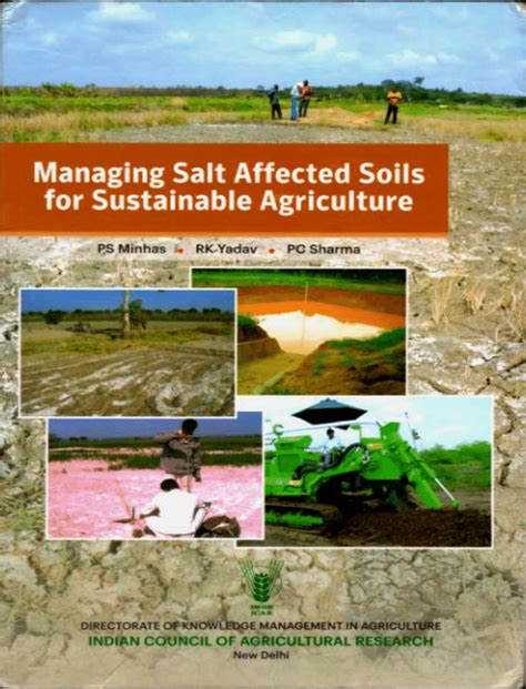 Pdf Managing Salt Affected Soils For Sustainable Agriculture