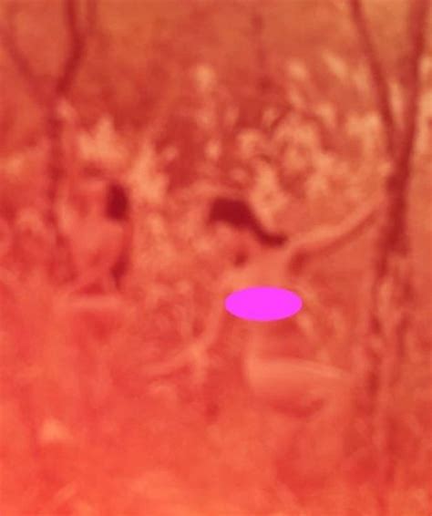 EROTIK Dia NUDE IN COLOR TOKYO Nackt Akt Modell 1960 Gebraucht in Wallisellen für CHF 4