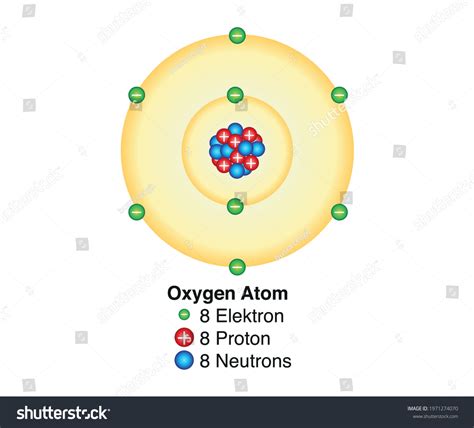 Basic Model Oxygen Atom Containing Protons Vetor Stock Livre De