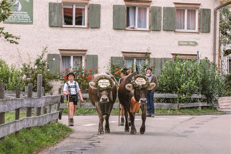 So Sch N War Der Viehscheid In Bolsterlang Aktuelle Bilder Und