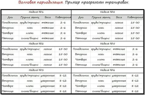 Периодизация тренировок в бодибилдинге схема для мужчин 59 фото ...