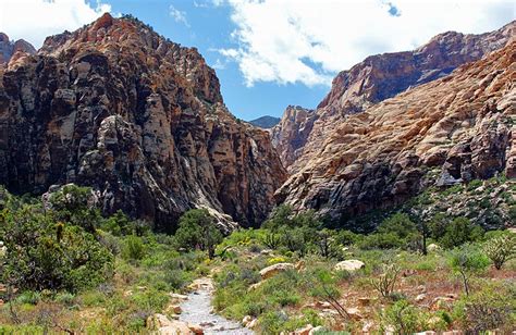 11 Top Hiking Trails near Las Vegas, NV | PlanetWare