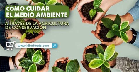 Cómo se puede conservar el medio ambiente por medio de la agricultura