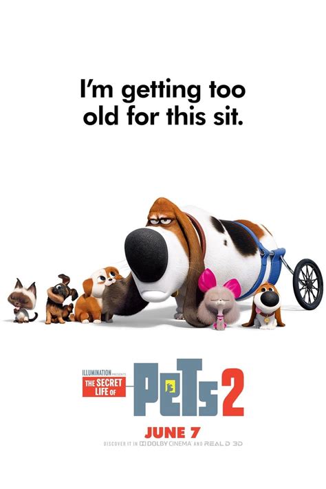 The Secret Life Of Pets 2 Dvd Release Date Redbox Netflix Itunes