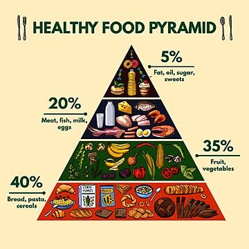 Healthy Food Pyramid Vector Art PNG Images | Free Download On Pngtree