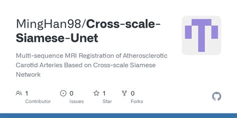 GitHub MingHan98 Cross Scale Siamese Unet Multi Sequence MRI