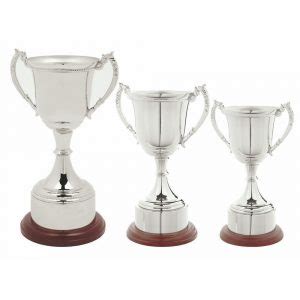 Buy Quality Annual Awards Online Now Challenge Trophies