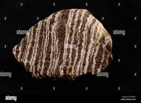 Foliated Metamorphic Rock Examples