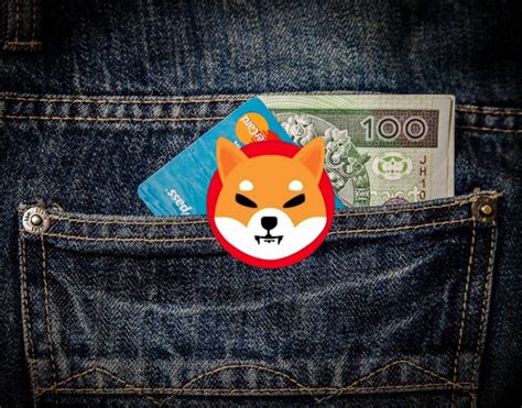 Accept Shiba Inu Nowpayments Highlights Why Companies Need To Start