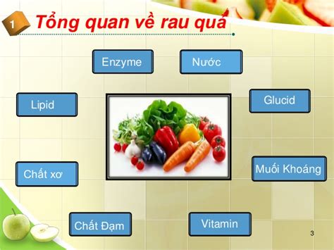 Hiểu Rõ Chất Dinh Dưỡng Quý Từ Rau Quả để Lựa Chọn Thông Minh Máy Ép