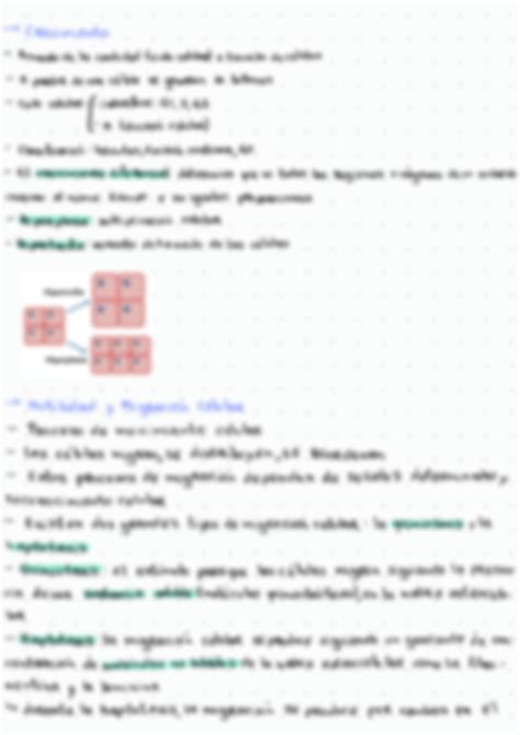 Solution Mecanismos Biol Gicos Del Desarrollo Semana Studypool