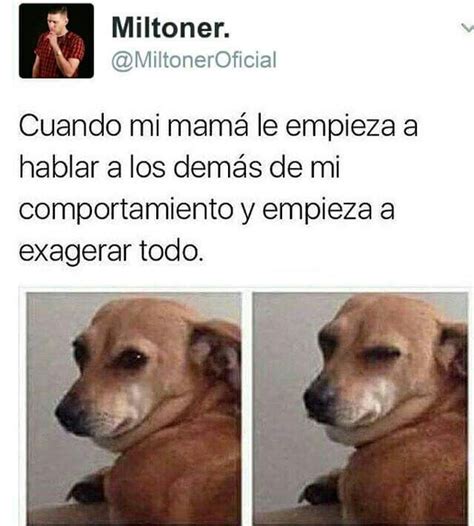 Memes De Porque Eres Asi