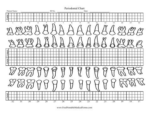 Printable Perio Charting Form