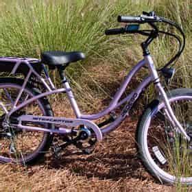 30A Pedego Electric Bike Rental TripShock