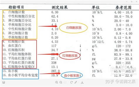 血常规报告单丨人人都需要了解的常识建议收藏 知乎