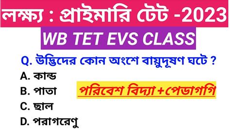 WB Primary TET EVS 2023 Class WB Primary TET Environment Class