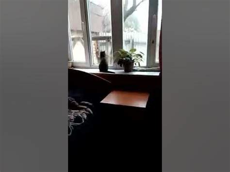 смотрю в даль - YouTube