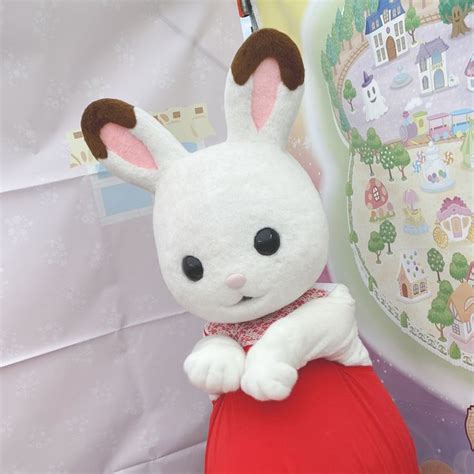 Pin De Vili Ohra Aho En Sylvanian Families