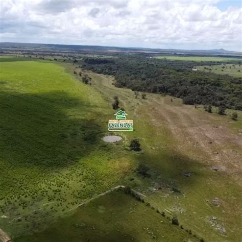 Mato Grosso Fazendas Hectares Venda No Vale Do Araguaia Mt