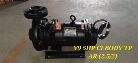 V9 5Hp CI Body Aluminum Rotor Three Phase Horizontal Openwell