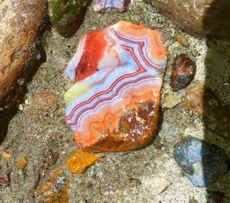 As Found Photo Of A Fairburn Agate South Dakota Rrockhounds