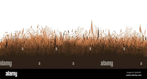 Brown Grass Silhouette Vector Illustration Stock Vector Image And Art Alamy