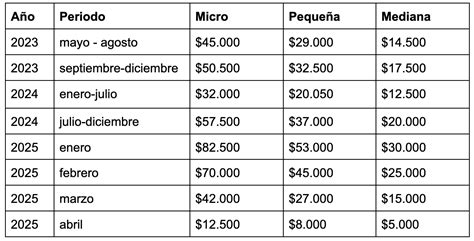 Sueldo mínimo en Chile Todo lo que debe saber un emprendedor Guía 14