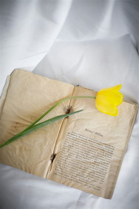 info book      info book stock  hd images