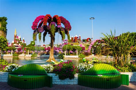 Dubai Miracle Garden Tourist Attractions | Dubai Miracle Garden