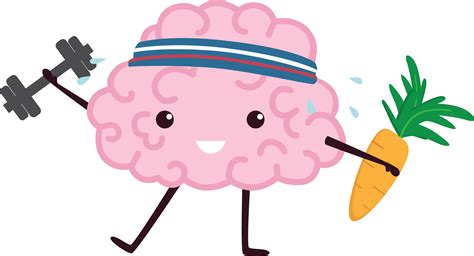 Lateralization Of Brain Function Neuroscience Health Clip Art Brain