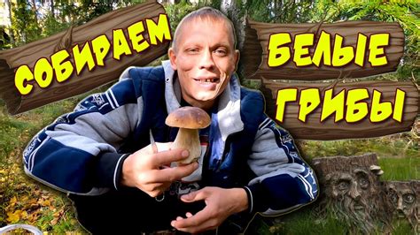 Весёлые ГРИБНИКИ СОБИРАЮТ 🍄 съедобные ГРИБЫ в лесу - YouTube