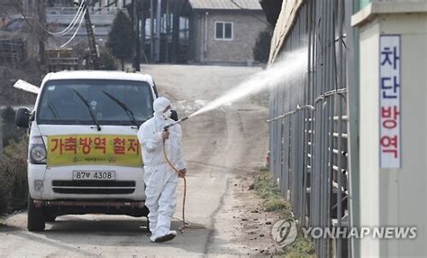 긴급 구제역 동시발생정부 위기경보 최고단계로 격상