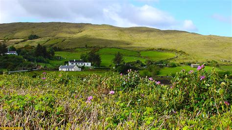 Irland Photos Connemara Killary Harbour