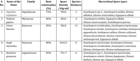 Root Colonization Spore Density Species Richness Spore Types In The