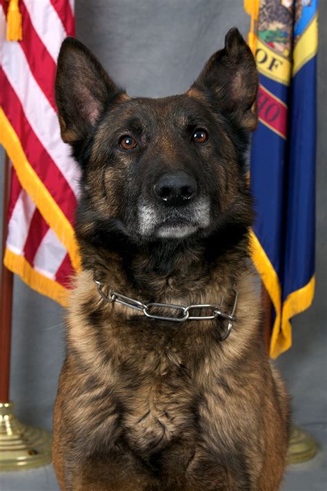 K9 units retire after nearly 20 years of service - East Idaho News