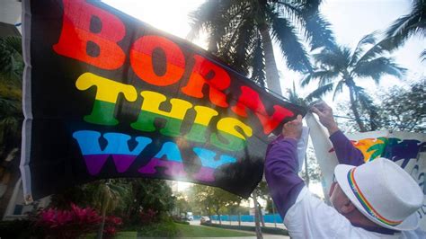 Apelan Los Oponentes Al Proyecto De Ley Derechos De Los Padres No Digas Gay El Nuevo Herald