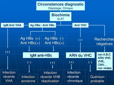 PPT Diagnostic Biologique Hépatites virales B et C PowerPoint