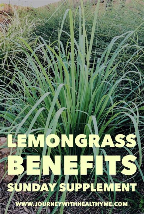 Lemongrass Benefits - Health and Healing with Lemongrass Tea