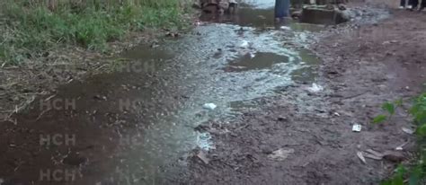 Dantesco Encuentran Un Feto En Una Quebrada De La Colonia Nueva