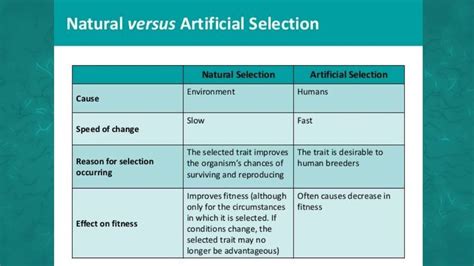 Natural Selection vs. Artificial Selection