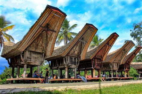 Rumah Adat Toraja Tongkongan Yang Memiliki Banyak Keunikan